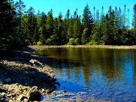 DSC00514